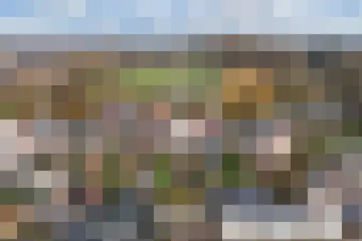 Vecht 33 Huizen thumbnail 20
