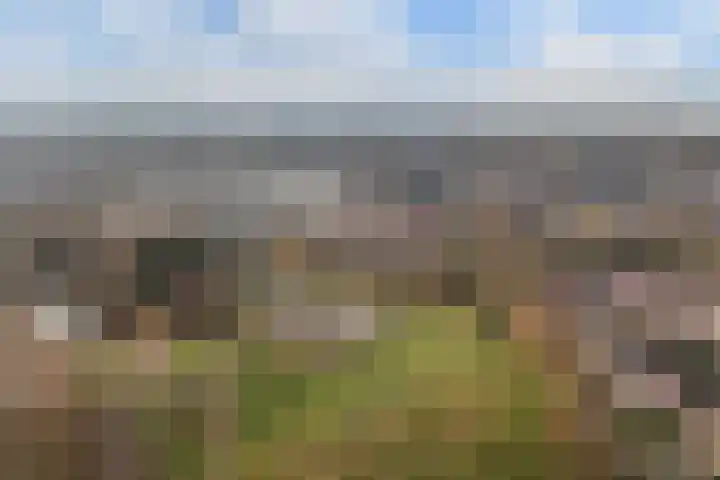 Vecht 33 Huizen thumbnail 21