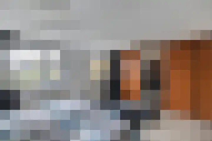 Vecht 33 Huizen thumbnail 24