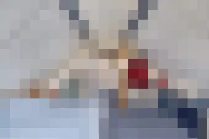 Vecht 33 Huizen thumbnail 35