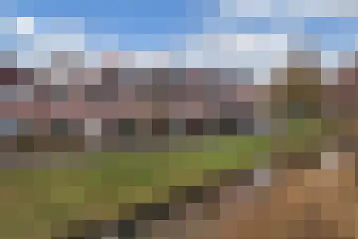 Vecht 33 Huizen thumbnail 38