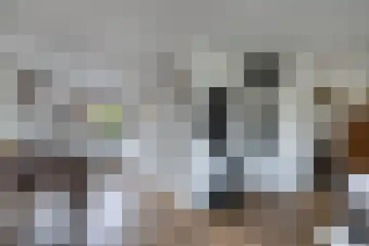 Vecht 33 Huizen thumbnail 8