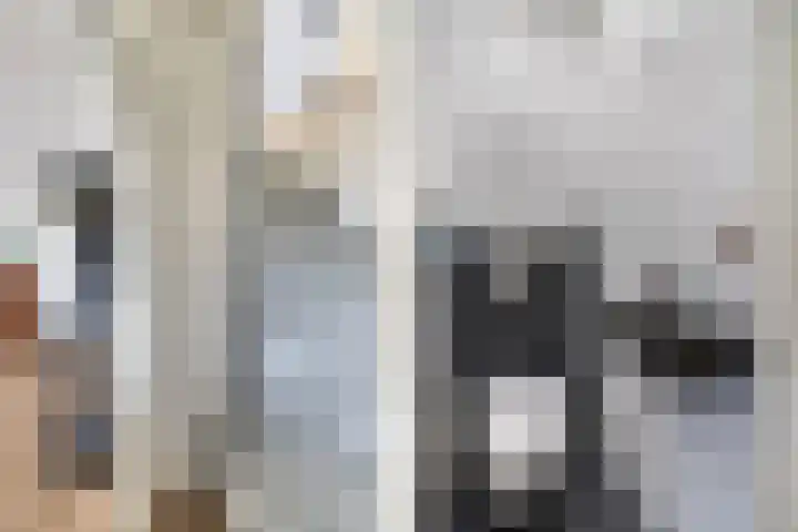 Vecht 33 Huizen thumbnail 9