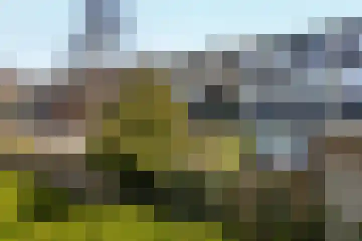 Vecht 34 Lelystad thumbnail 70