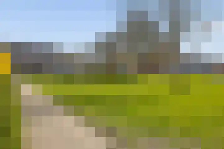 Vecht 34 Lelystad thumbnail 73