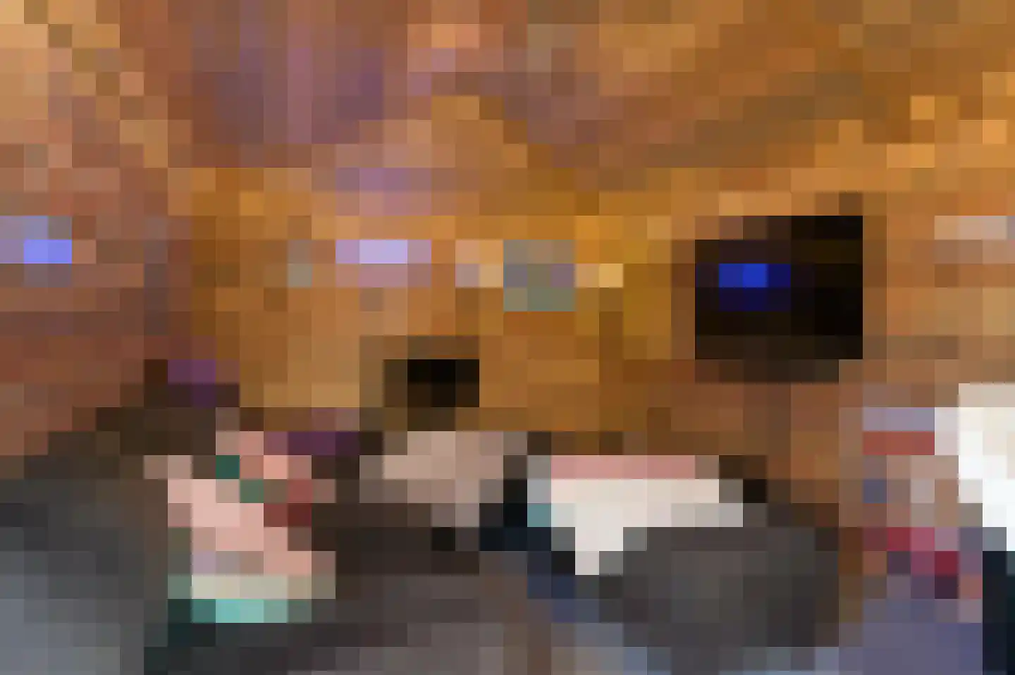 Vecht 4 Zeewolde thumbnail 37