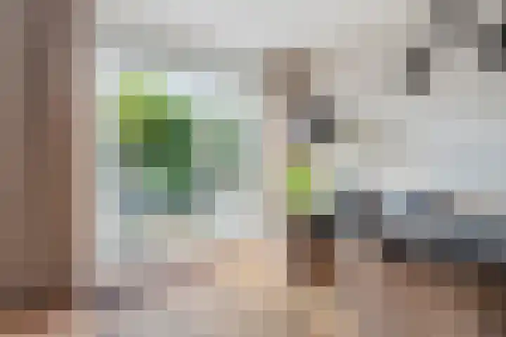 Vecht 44 Kaatsheuvel thumbnail 12
