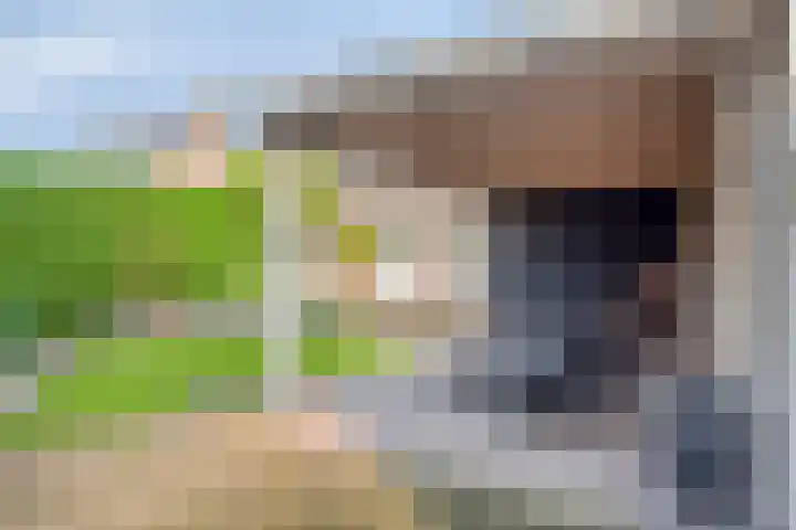 Vecht 44 Kaatsheuvel thumbnail 28