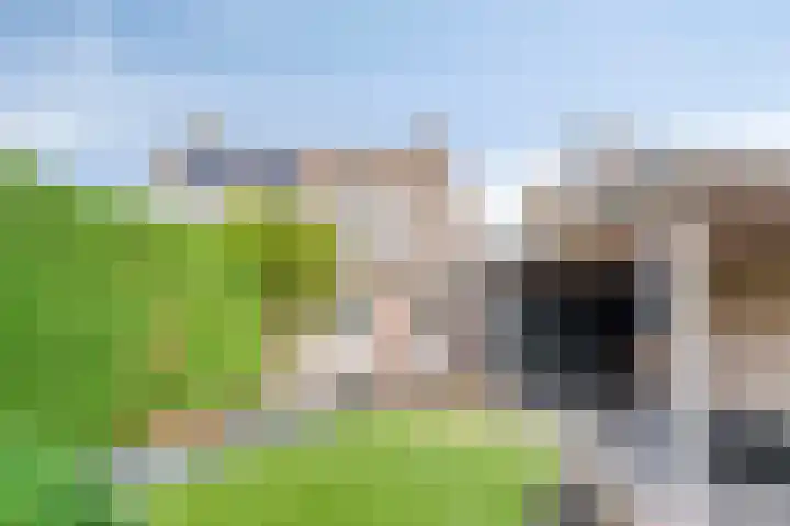 Vecht 44 Kaatsheuvel thumbnail 6