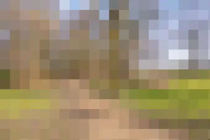 Vecht 44 Zeewolde thumbnail 38