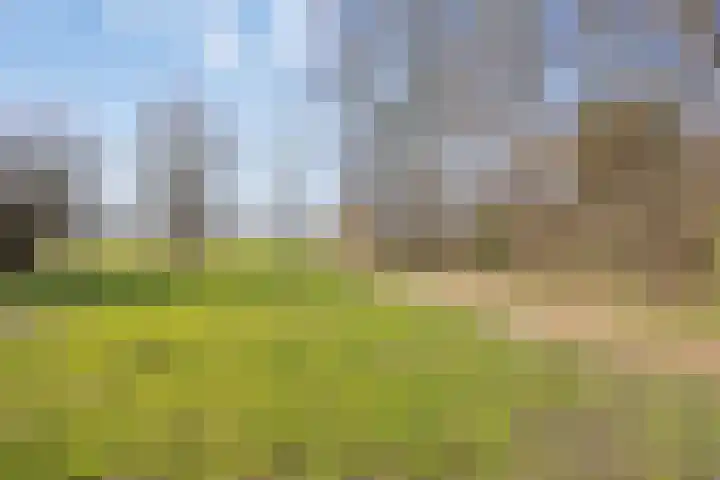 Vecht 44 Zeewolde thumbnail 39