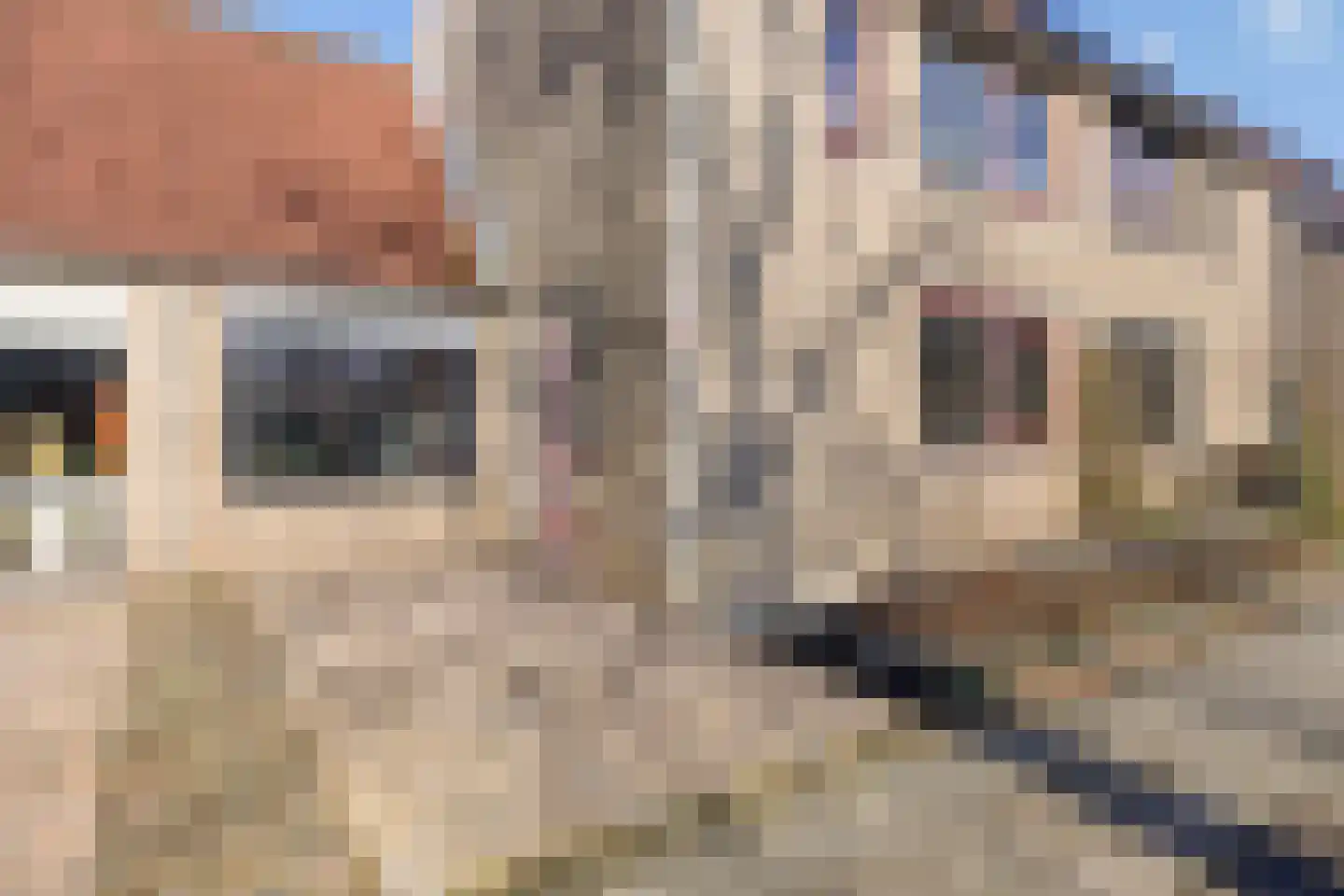 Vecht 44 Zeewolde thumbnail 5
