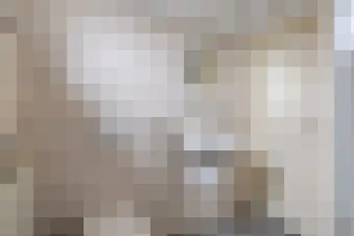 Vecht 6 Kaatsheuvel thumbnail 20