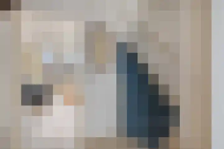 Vecht 6 Kaatsheuvel thumbnail 7