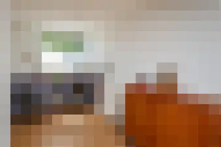 Vecht 63 Nieuwerkerk aan den IJssel thumbnail 12