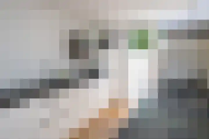Vecht 63 Nieuwerkerk aan den IJssel thumbnail 5