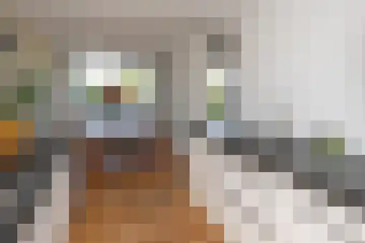 Vecht 63 Nieuwerkerk aan den IJssel thumbnail 6