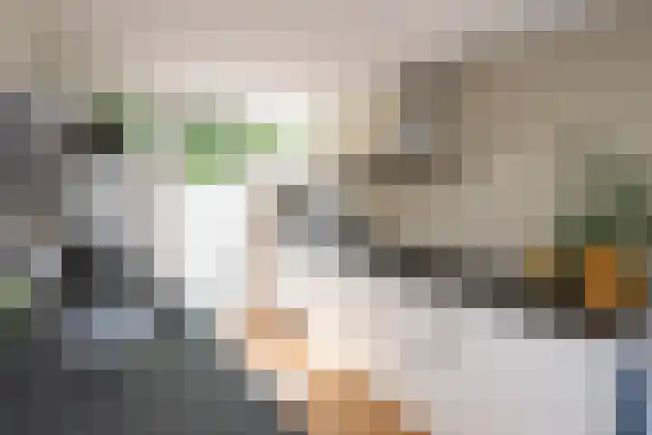 Vecht 63 Nieuwerkerk aan den IJssel thumbnail 8