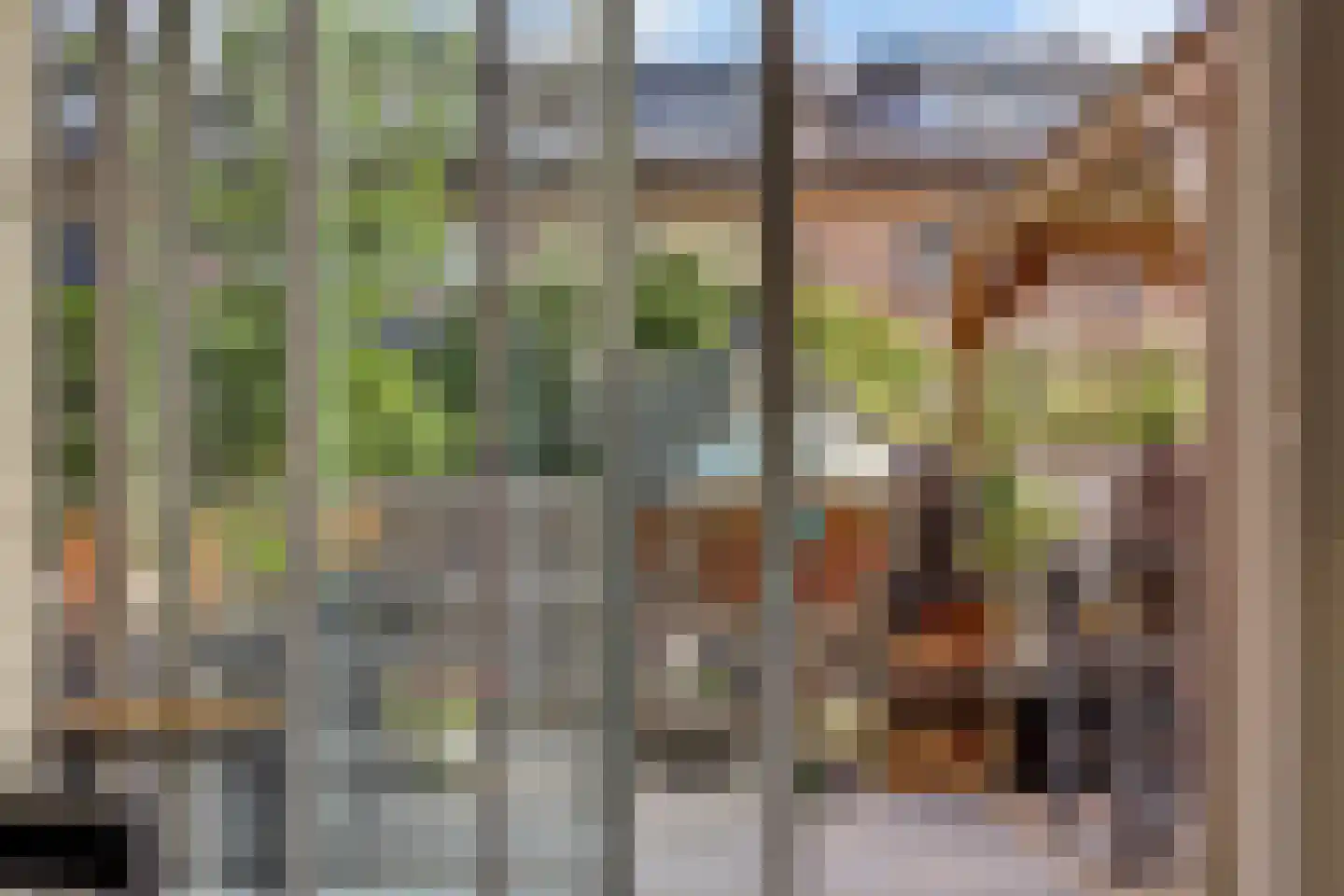 Vecht 81 Nieuwerkerk aan den IJssel thumbnail 12