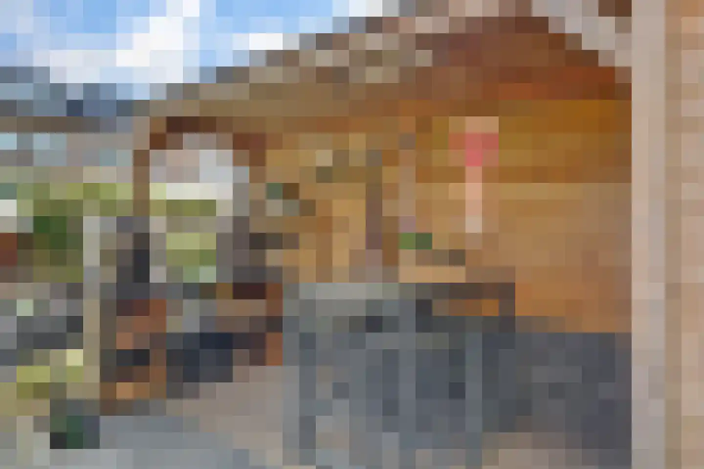 Vecht 81 Nieuwerkerk aan den IJssel thumbnail 17