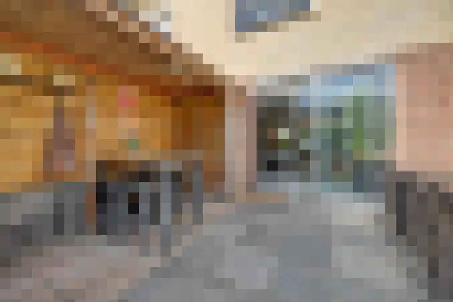 Vecht 81 Nieuwerkerk aan den IJssel thumbnail 21