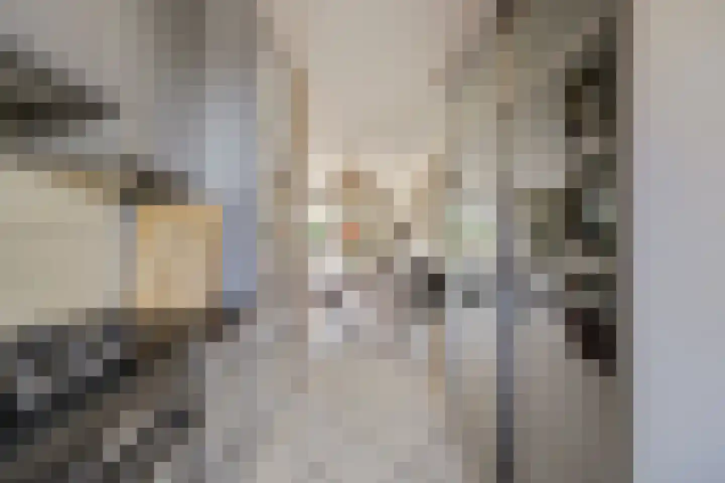 Vecht 81 Nieuwerkerk aan den IJssel thumbnail 24