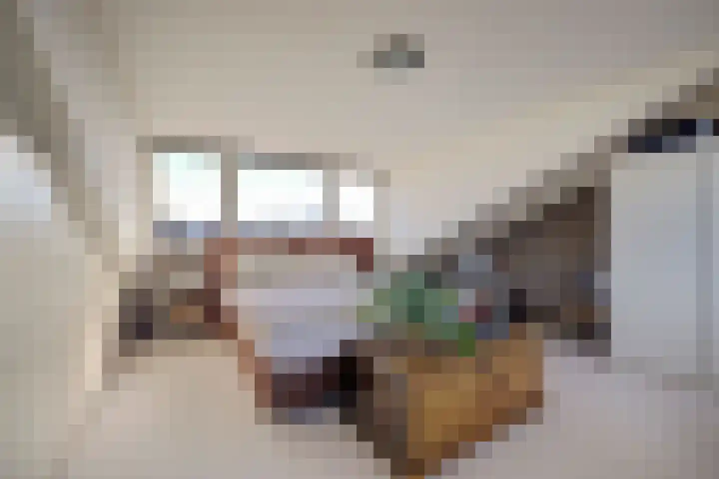 Vecht 81 Nieuwerkerk aan den IJssel thumbnail 36