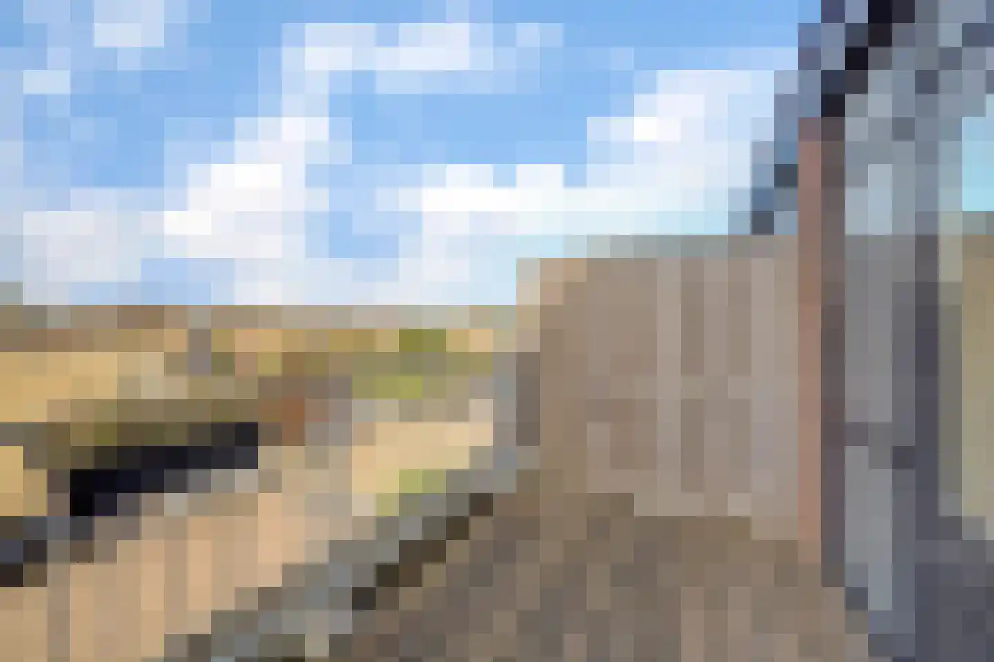 Vecht 81 Nieuwerkerk aan den IJssel thumbnail 39
