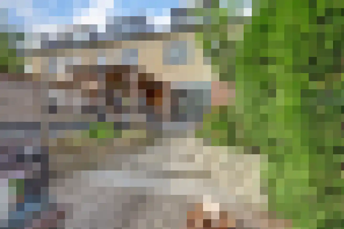 Vecht 81 Nieuwerkerk aan den IJssel thumbnail 5