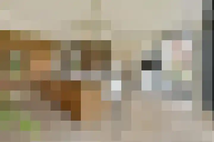 Vecht en Veld 27 Vreeland thumbnail 11