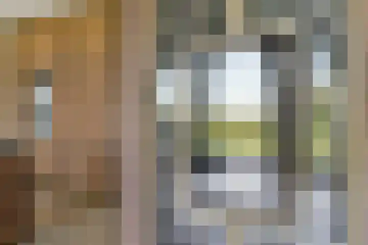 Vecht en Veld 27 Vreeland thumbnail 13