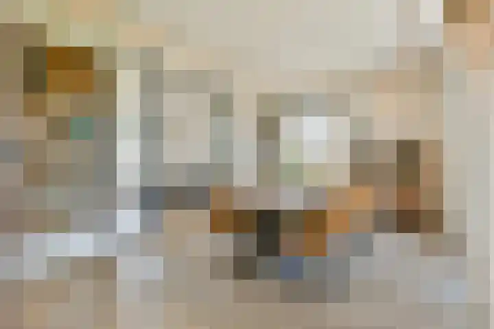 Vecht en Veld 27 Vreeland thumbnail 14