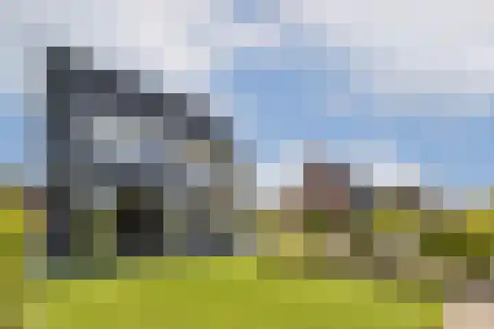 Vecht en Veld 27 Vreeland thumbnail 18
