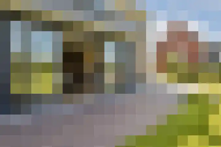 Vecht en Veld 27 Vreeland thumbnail 19