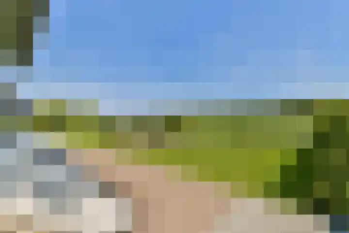 Vecht en Veld 27 Vreeland thumbnail 20