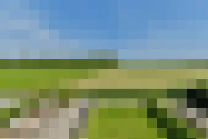 Vecht en Veld 27 Vreeland thumbnail 21