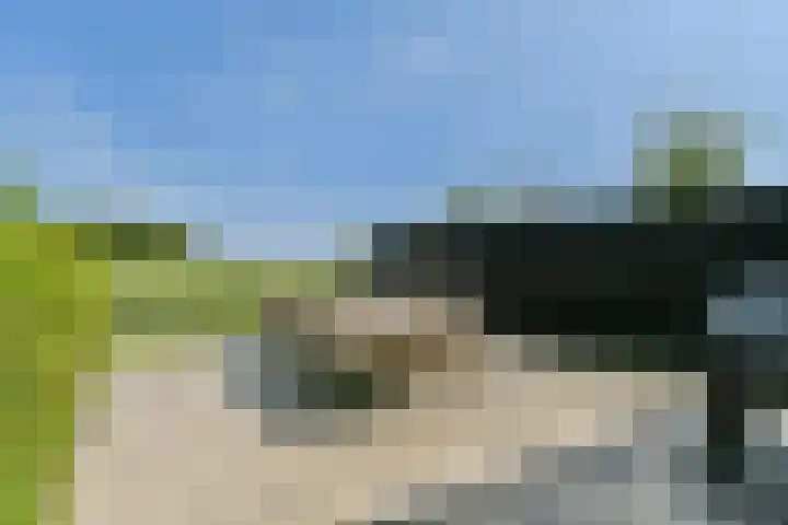 Vecht en Veld 27 Vreeland thumbnail 22