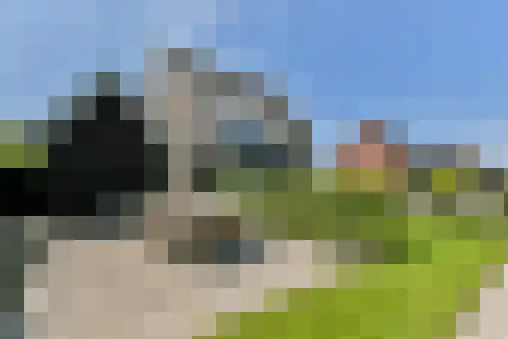 Vecht en Veld 27 Vreeland thumbnail 23