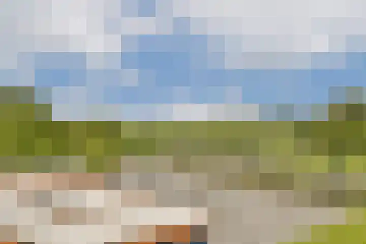 Vecht en Veld 27 Vreeland thumbnail 24