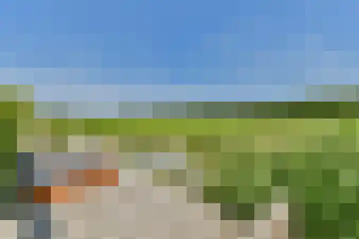 Vecht en Veld 27 Vreeland thumbnail 25