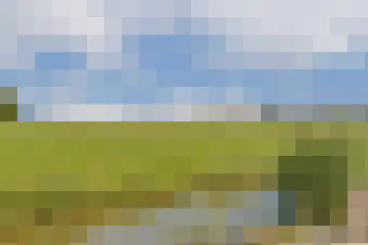 Vecht en Veld 27 Vreeland thumbnail 26