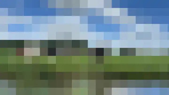 Vecht en Veld 27 Vreeland thumbnail 27