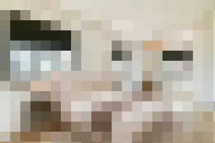 Vecht en Veld 27 Vreeland thumbnail 33