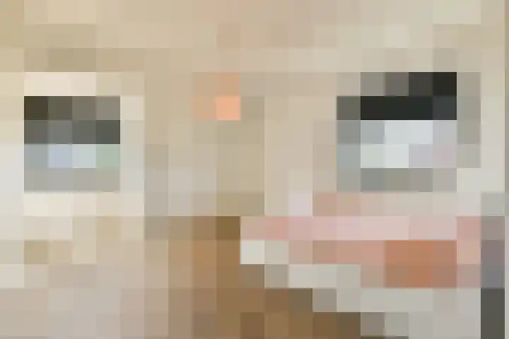 Vecht en Veld 27 Vreeland thumbnail 39
