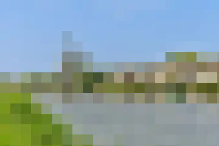 Vecht en Veld 27 Vreeland thumbnail 42
