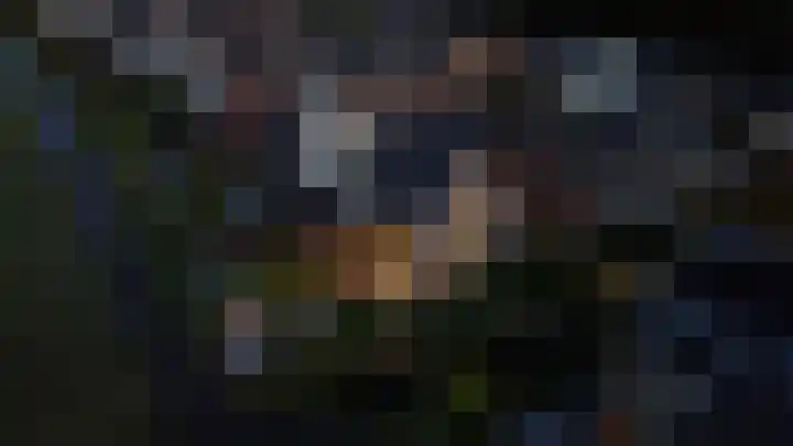 Vecht en Veld 27 Vreeland thumbnail 46