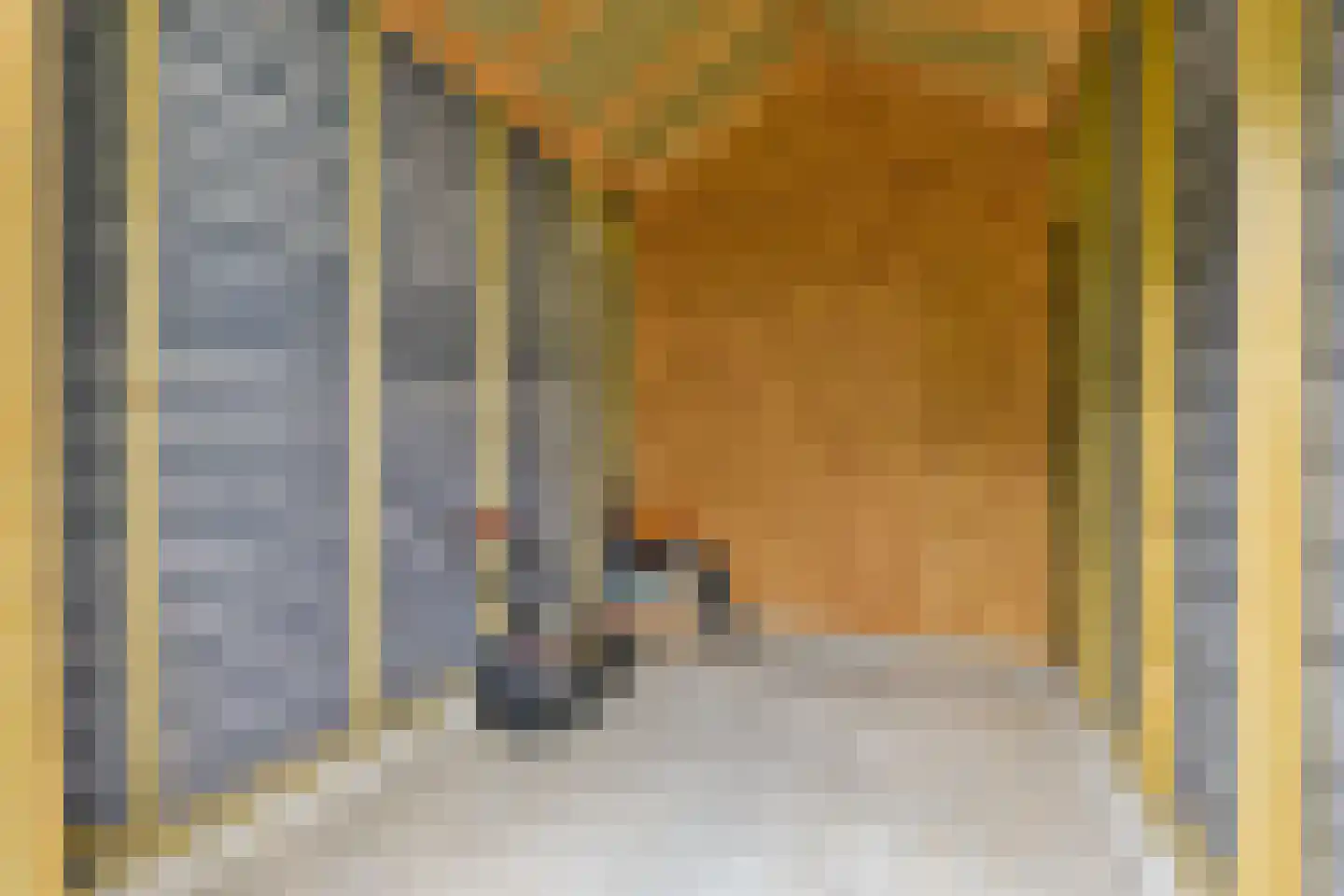 Vecht en Veld 30 Vreeland thumbnail 36