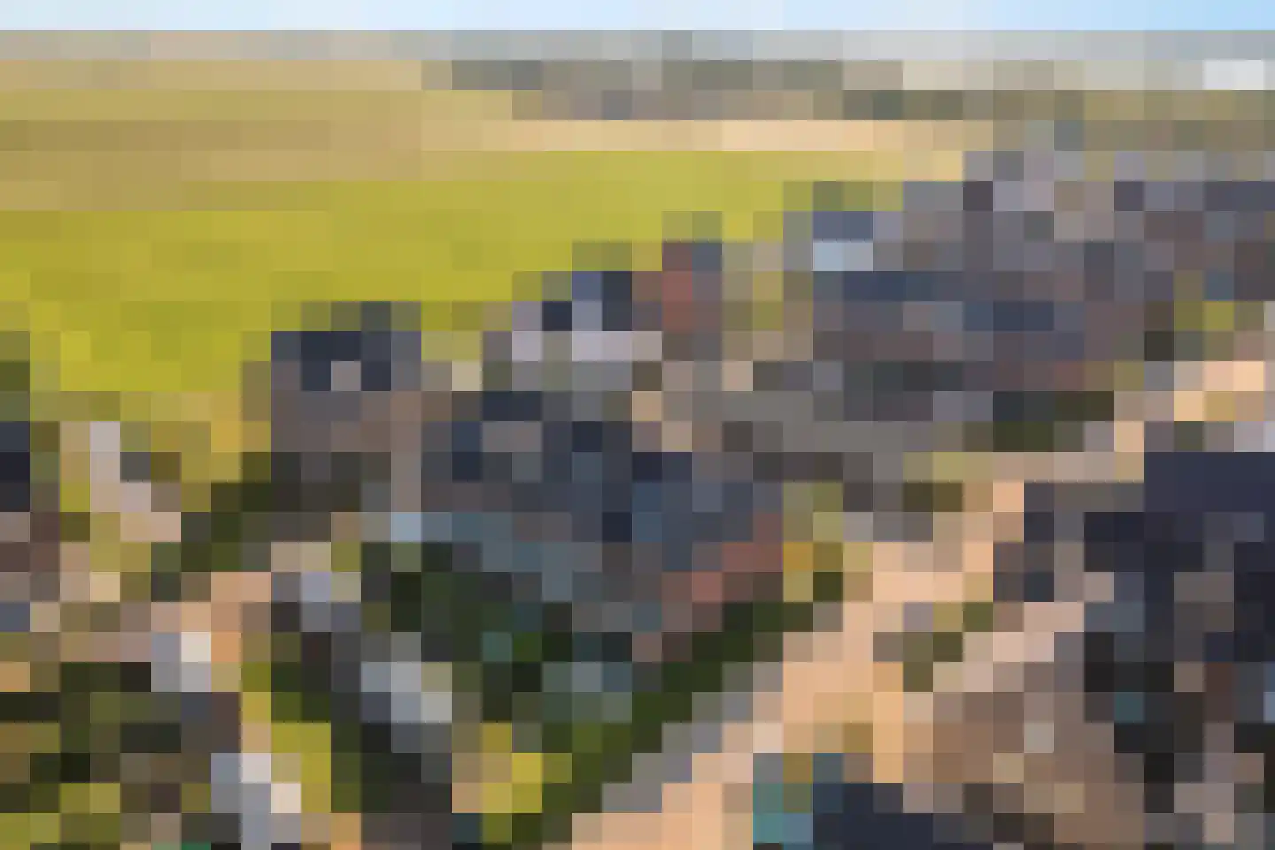Vecht en Veld 30 Vreeland thumbnail 37