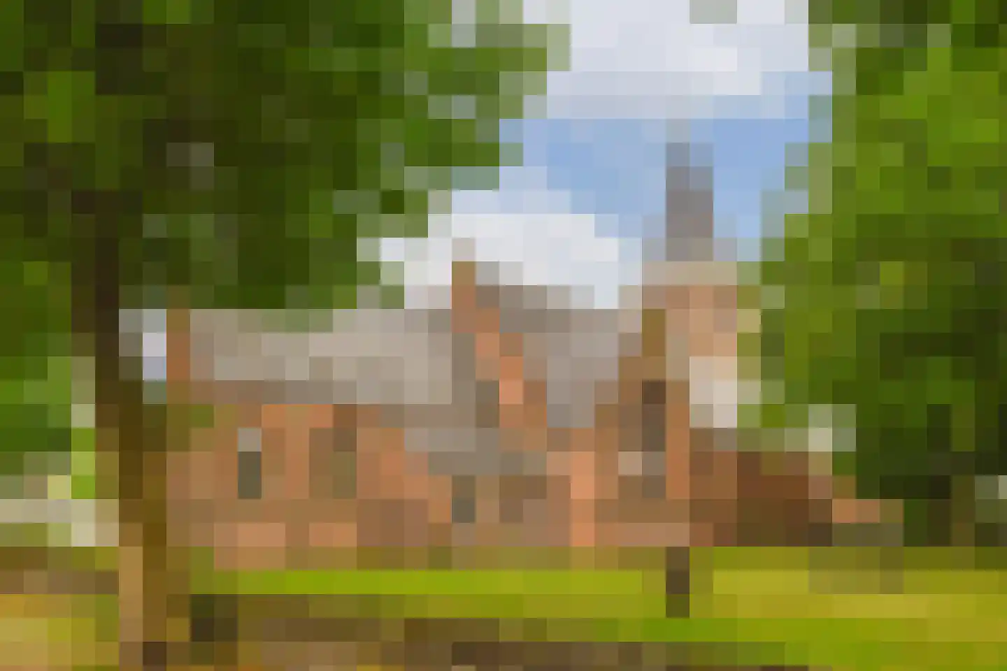 Vecht en Veld 30 Vreeland thumbnail 42