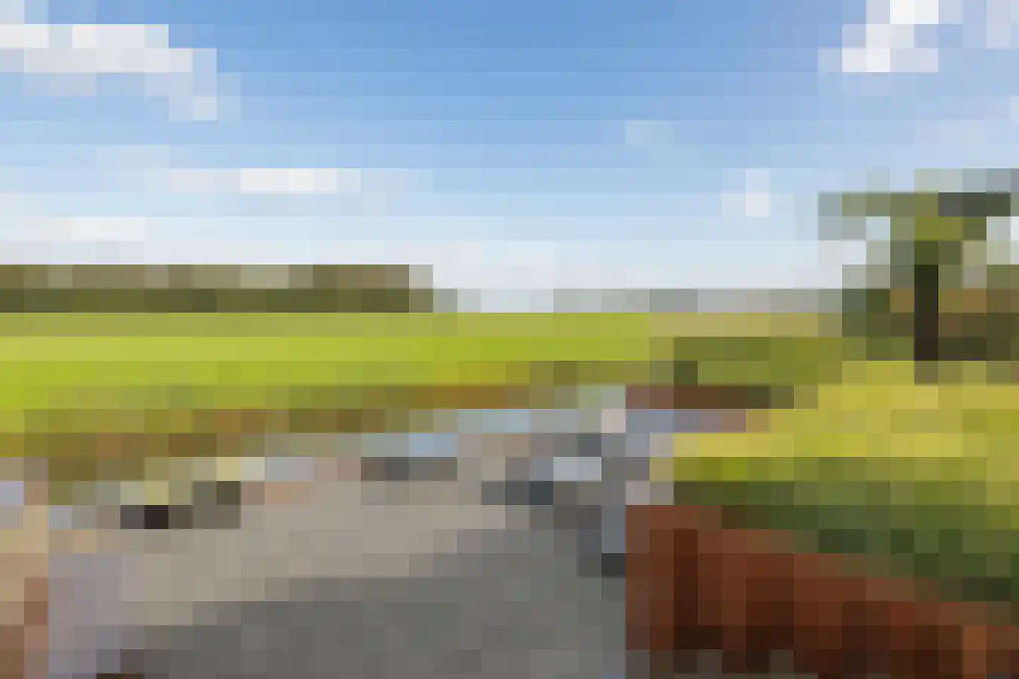 Vecht en Veld 35 Vreeland thumbnail 11